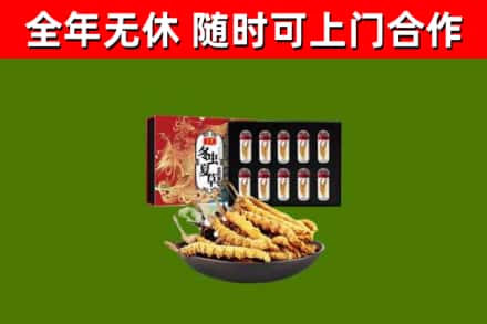横栏镇回收冬虫夏草价格